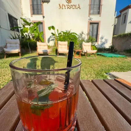酒店 Myrodia By Etapaltinel Ayvalı